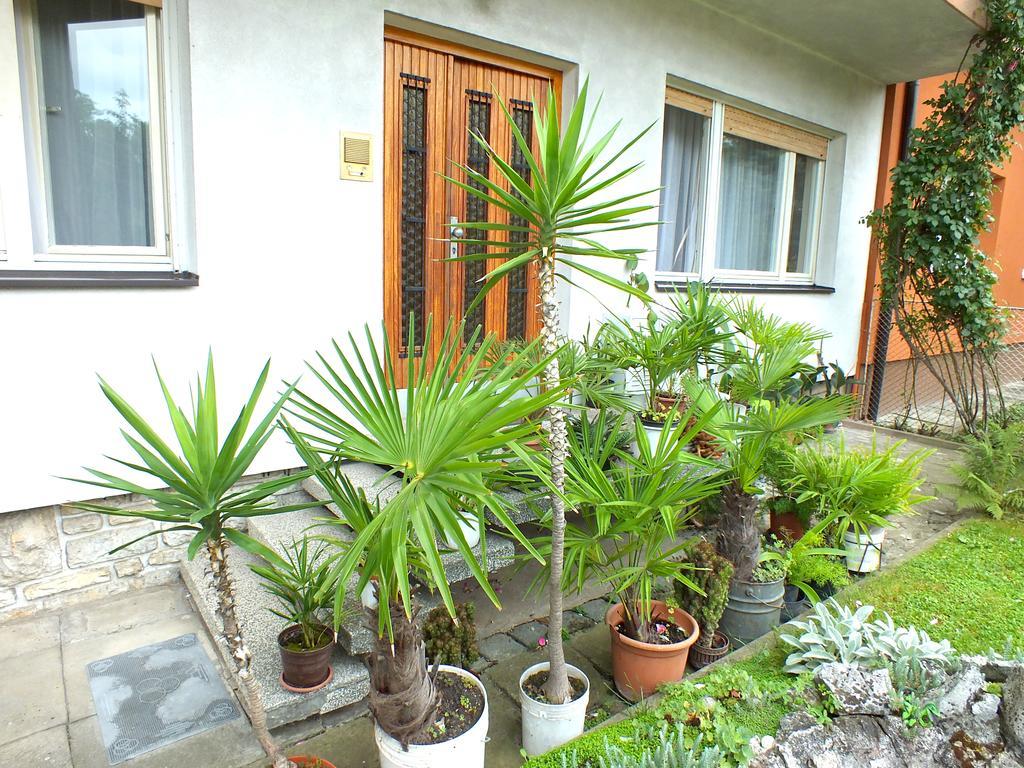 Biba Rooms Karlovac Exteriér fotografie